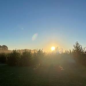 Sunrise on a dewey morning