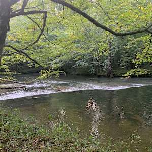 Rock Creek Wooded Campground
