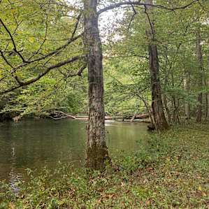Rock Creek Wooded Campground