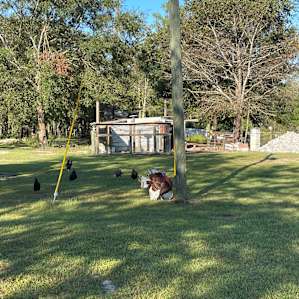 Creekside Farm Co. Homestead