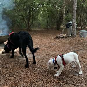 Camp21 Withlacoochee River Pavilion