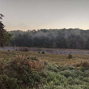 Lakeview Site