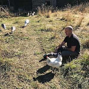 Forest Camping with Farm Animals