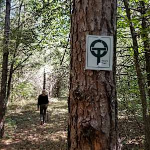 Ozark trail cuts through the area. Well kept trail.