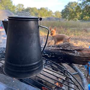 Mornings with coffee