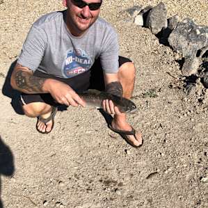 Good fishing! Lots of carp and a few nice trout