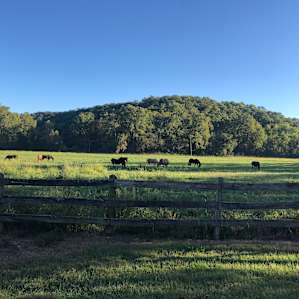 On Top of the Ridge at SVRanch