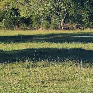 Broken Knee Spot (Camp, Fish, Swim)