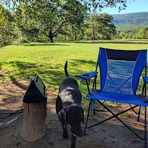 Broken Knee Spot (Camp, Fish, Swim)