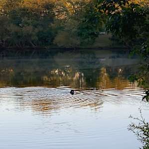 Ponds Edge