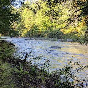 water was high in the river!