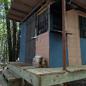 the Treehouse