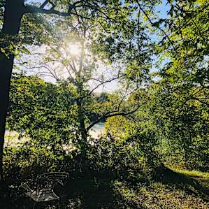 Perdue Homestead Farm