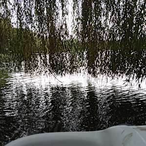 Harmony Lake-Tent-Creek Side West