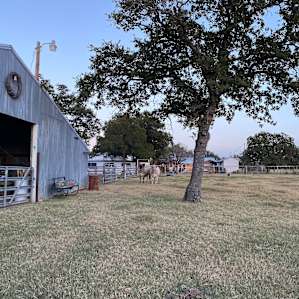 Shaded Camp Site with Farm View