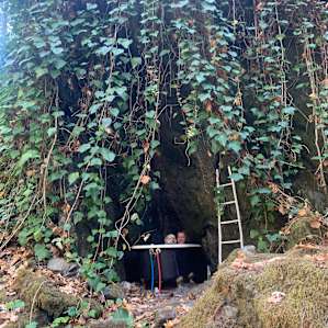 “CAMP CAZ” RUSSIAN RIVER CABIN