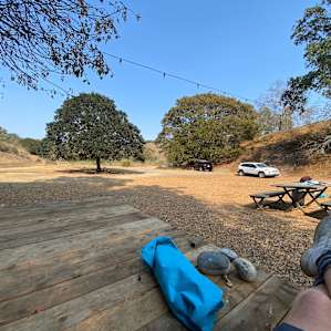 Olive Farm Camp