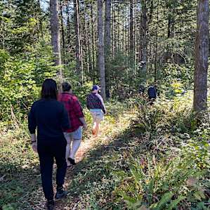 Enjoying the short forest trail on the property