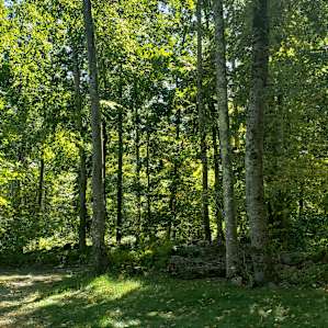 Fernwood 2