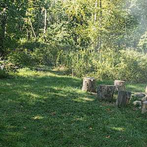Fernwood 2