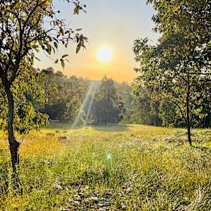 100-acre Woods - Sembawang 1