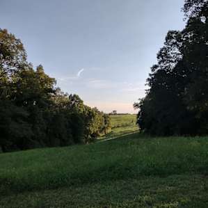 The view from the top of the hill where site #2 sits.