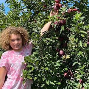 A pick your own apple farm is close by the Cozy Cottage and we made the most of it!