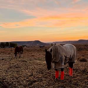 The Bullock Ranch,Owyhee Mountains