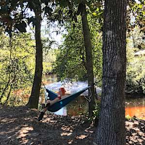 Blackwater Getaway Tent Sites