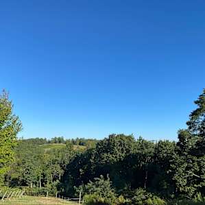 Terra Incognita Vineyard