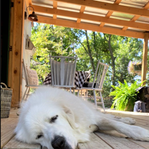 Dry Creek Post Secluded Glamping