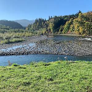 Watched the Salmon spawning from this edge of perfection.