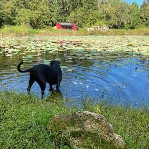 The Blue Heron — Camper/RV Hookups