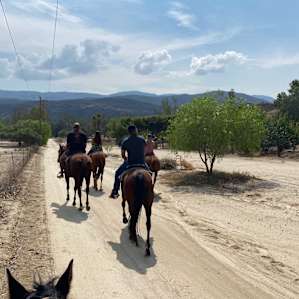 Saddle Up Ranch Site 2