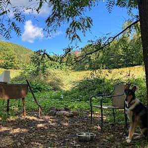 Shady Grove Getaway