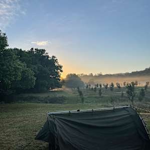 The River Orchard - Riverview site