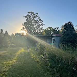 The River Orchard - Riverview site