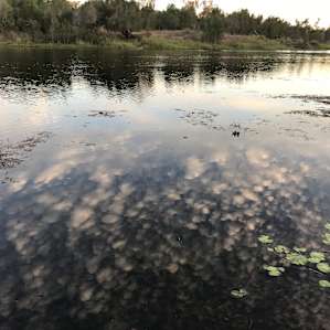 Evening clouds reflection