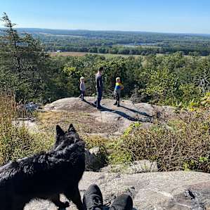 View from the top of observatory hill.