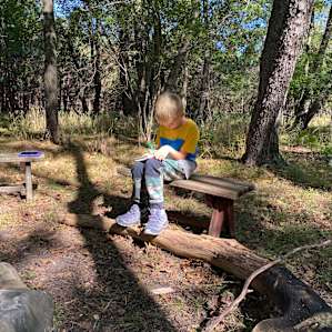 Forest Dream - Central WI off-grid