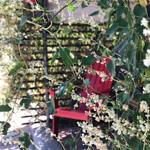 A side view of the swing and the red chair.