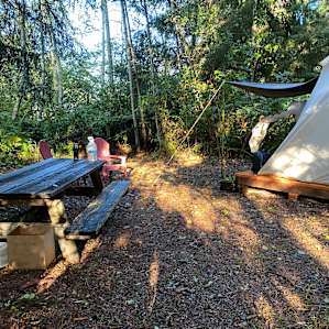 Azalea Glamp