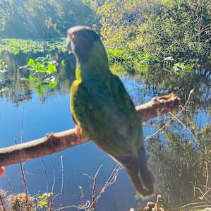 Marco in awe of the Wekiva