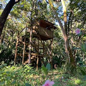 Sky Platform with a mysterious view
