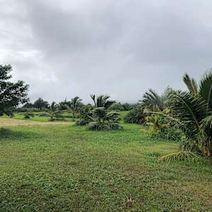 Pitch a tent in Eden