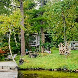 The treehouse