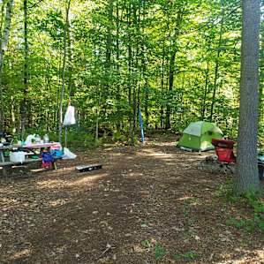 Someday Farm and Forest Camping