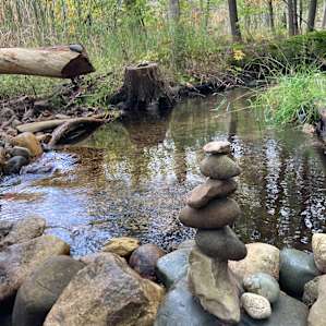 Flowing Waters #1