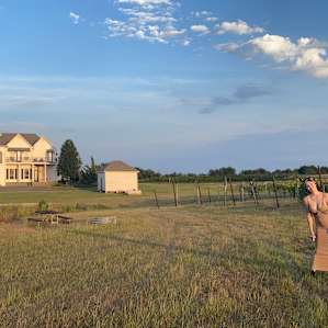 Tara Winery Vines & Views