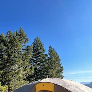 Sherwood Forest Camp